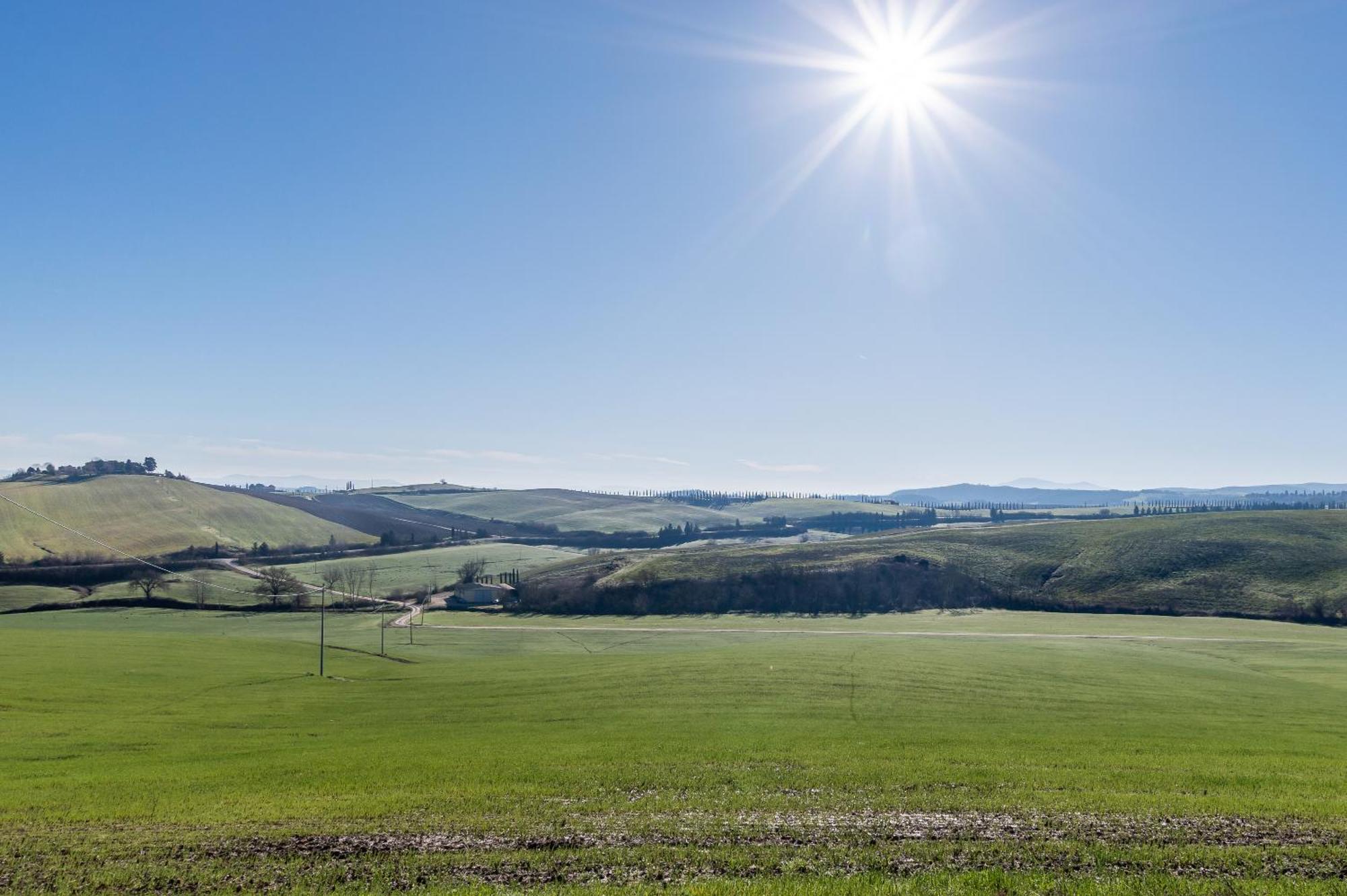 Sunflower Con Vista Su Siena Villa Corsano  ภายนอก รูปภาพ