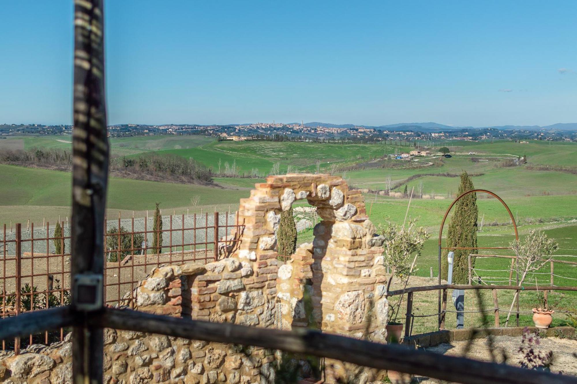 Sunflower Con Vista Su Siena Villa Corsano  ภายนอก รูปภาพ